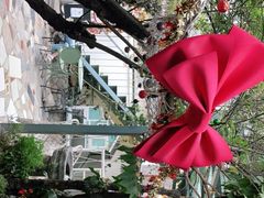 -喵屿·大理花园猫咖