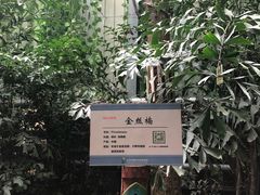 -呀路古热带植物园