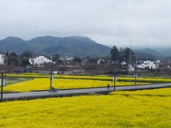 -黄牛肉馆·皖南土菜