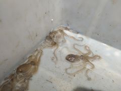 -拉完海鲜大排档(温岭店)