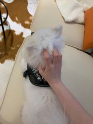 -MZ SKIN CARE逆齢驻颜中心