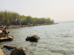 -丁香湖公园