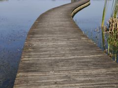 -盐城丹顶鹤湿地生态旅游区