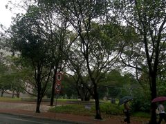 -广西大学(大学东路校区)
