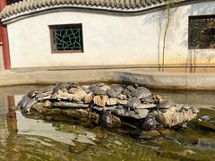 -红螺寺