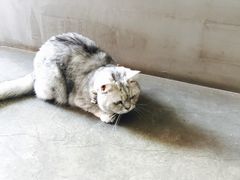 -研途咖啡馆(健康路店)