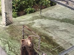 -深圳野生动物园