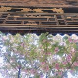 灵山寺 一座藏在深山里的寺庙