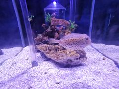 -太平洋海底世界