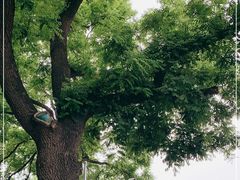 -东华门大街小区