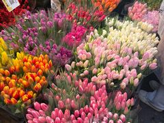 -循礼门鲜花花市(武汉循礼门店)