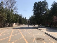 -延安杨家岭革命旧址