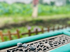 -梁鸿国家湿地公园