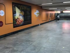 -竹子林(地铁站)