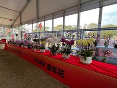 -嘉北郊野公园