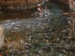 -泉城欧乐堡戏水湾艺术养生温泉