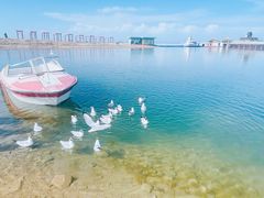 -青海湖国家重点风景名胜区