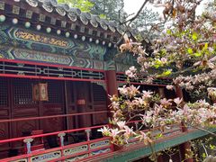 -潭柘寺景区