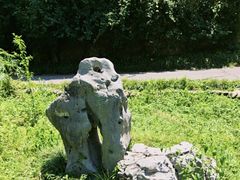 -重庆彩云湖湿地公园