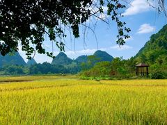 -靖西鹅泉风景区