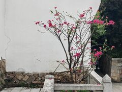 -乌山风景区