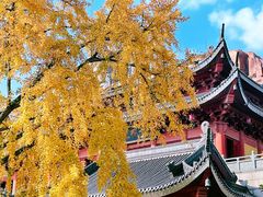 -上海东林寺(金山区)