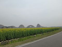 -中国天府农业博览园