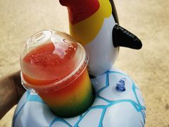 -珠海长隆海洋王国