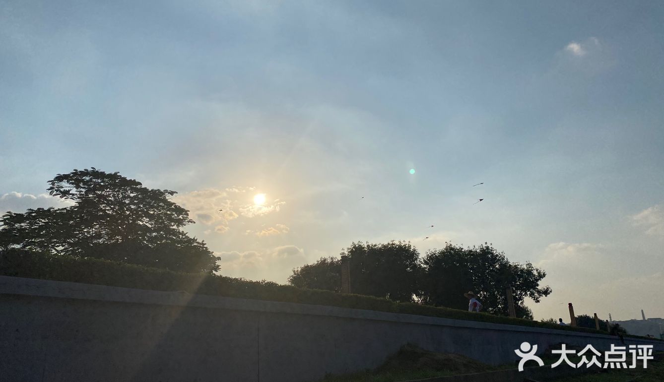 海鸥岛游啊游