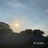 海鸥岛游啊游