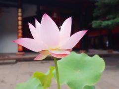 -成都市文殊院