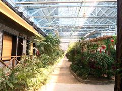 -森谷美食公园(杨行店)