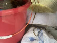 -老字号手工凉皮米线(和平小区店)