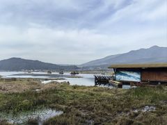 -腾冲北海湿地