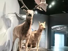 -中国湿地博物馆