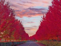 -南京枫彩漫城