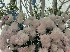 -上海鲜花港