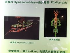 -上海昆虫博物馆