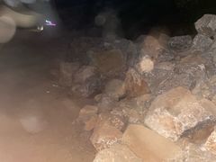 -长虫山生态公园风景林