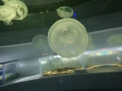-常州海昌海洋探索馆