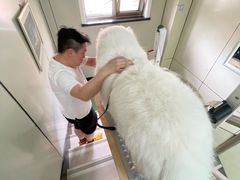-北京观赏动物医院·24小时大型综合·猫专科·异宠专科