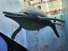 -安徽省地质博物馆