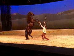 -cavalia·舞马