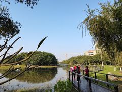 -映月湖公园