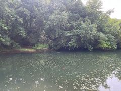 -白马涧龙池景区