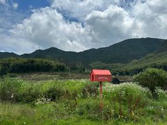 -泽雅景区