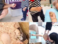 -怪兽屋·羊驼·猫咖·狗咖(俊华广场店)