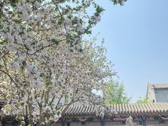 -莲池书院博物馆