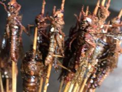 -大学城夜市大排档(凤栖路店)