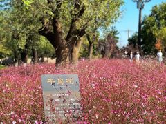 -汉长安城未央宫国家考古遗址公园